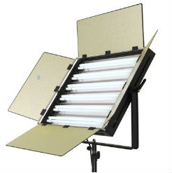 Đèn Fluorescent Soft Light FD-S6X55 Farseeing 3805