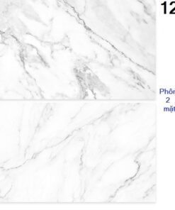 Tam Phong Nen Chup Anh 2 Mat 60 90cm 52