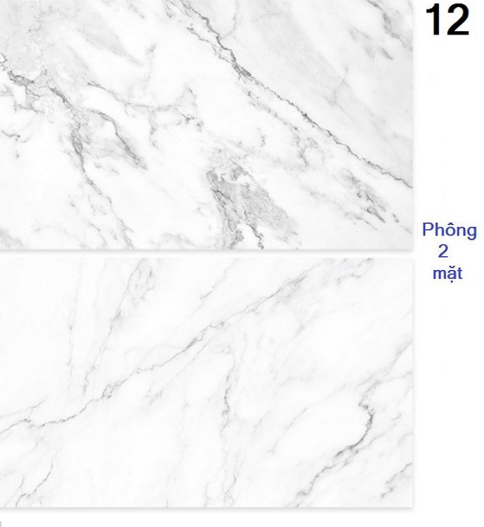 Tam Phong Nen Chup Anh 2 Mat 60 90cm 52