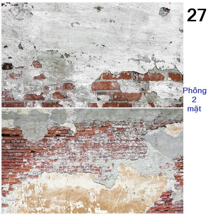 Tam Phong Nen Chup Anh 2 Mat 60 90cm 67