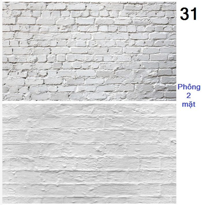 Tam Phong Nen Chup Anh 2 Mat 60 90cm 71
