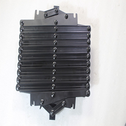 Xương cá treo đèn-rọng dọc 7239