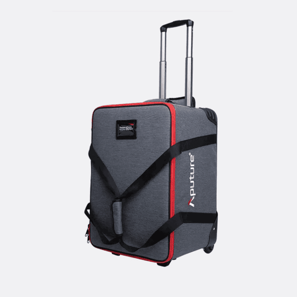 Den Aputure Ls 600d Pro 6