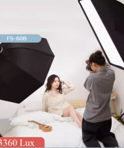 Bộ 2 Đèn Led Nanlite FS-60B Softbox Bát Giác Và Chữ Nhật, Đèn Quay Phim Chụp Ảnh Studio 17809