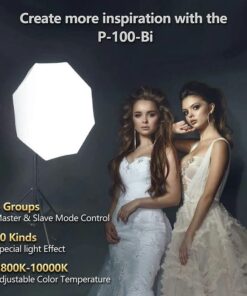 Den Led Sutefoto P100 Bi Color 3