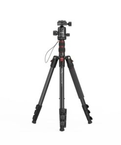 Chan May Anh Smallrig Ct 10 3935 2