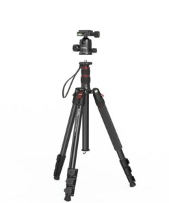 Chan May Anh Smallrig Ct 10 3935 8