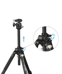 Chan May Anh Smallrig Lateral Center Column Ct200 4288 2