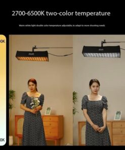 Den Led Rollflex C100bi 100w Bi Color 05