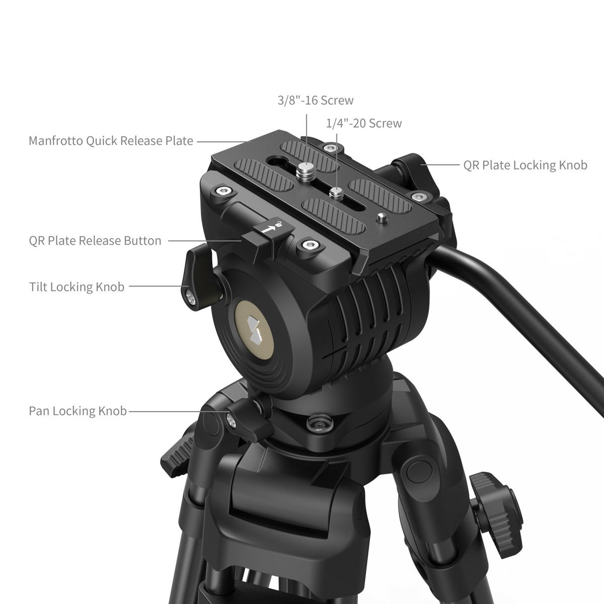 Chan May Quay Smallrig Ad14 5440 Cao 186cm 04 Hlstudio