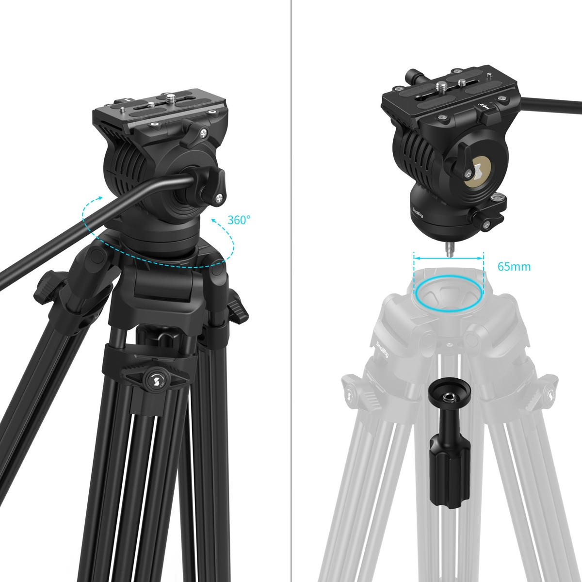 Chan May Quay Smallrig Ad14 5440 Cao 186cm 05 Hlstudio